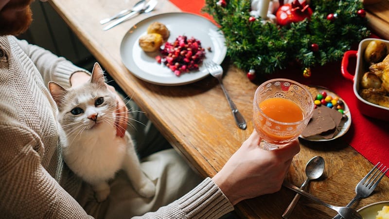toxic-holiday-foods-pets