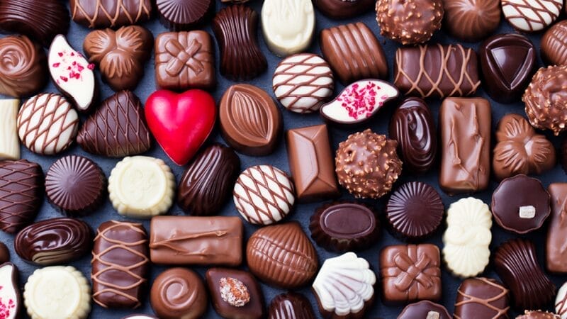 chocolate-is-dangerous-for-pets-do-not-feed