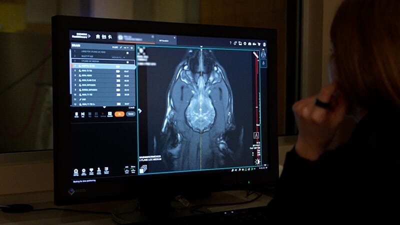 mri-image-of-a-pet-for-diagnosing