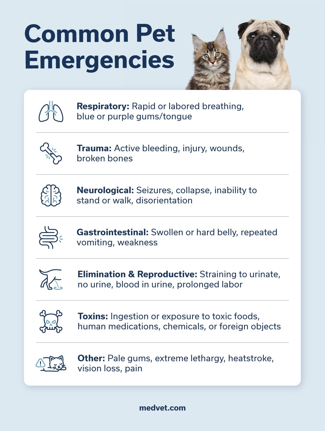 Common-pet-emergencies