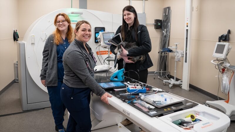 ct-scans-for-pets-medvet-diagnostic-equipment