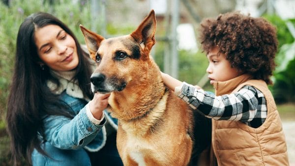dog-bite-prevention-safety-tips-families