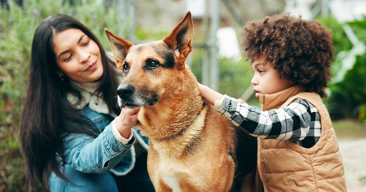 dog-bite-prevention-safety-tips-families