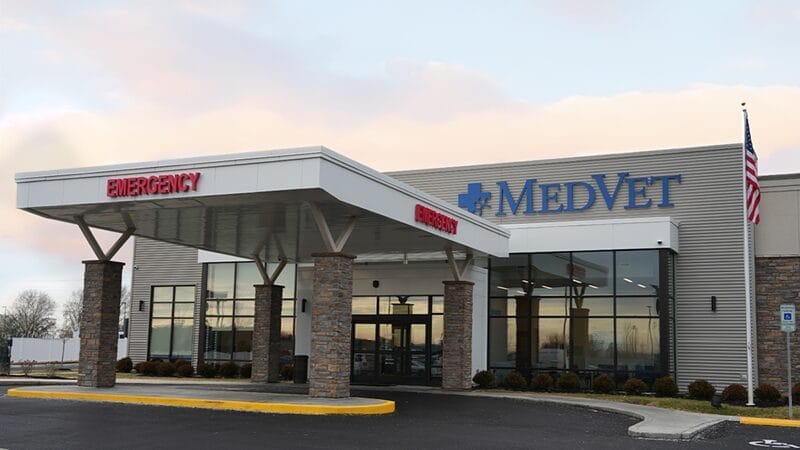medvet-veterinary-emergency-and-specialty-care-for-pets