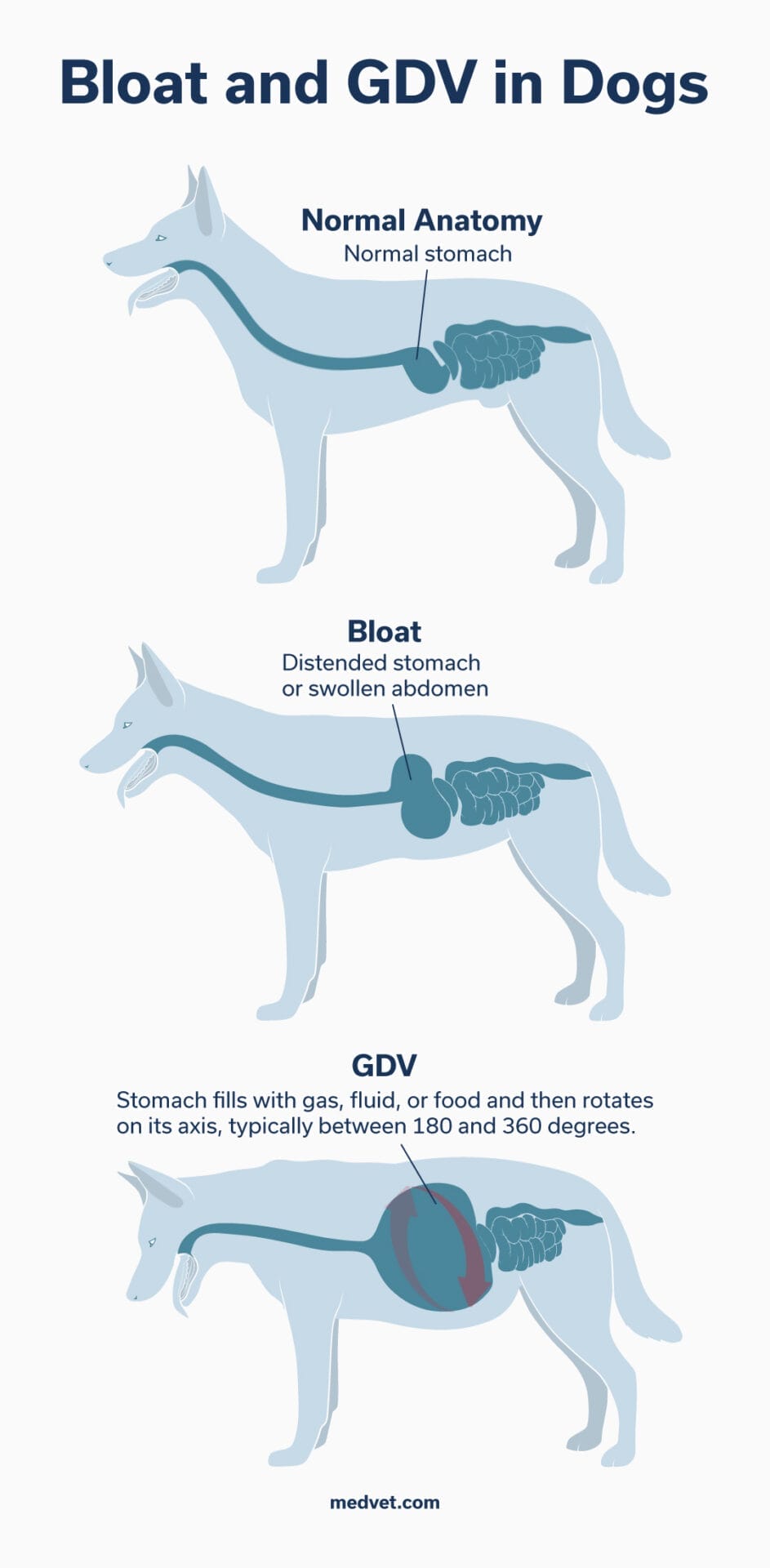 Adm_GDV-in-Dogs_MKTG_260323_F