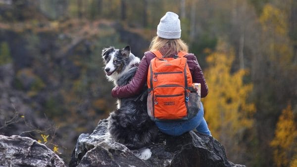 hiking-and-camping-with-your-pet-vet-approved-tips
