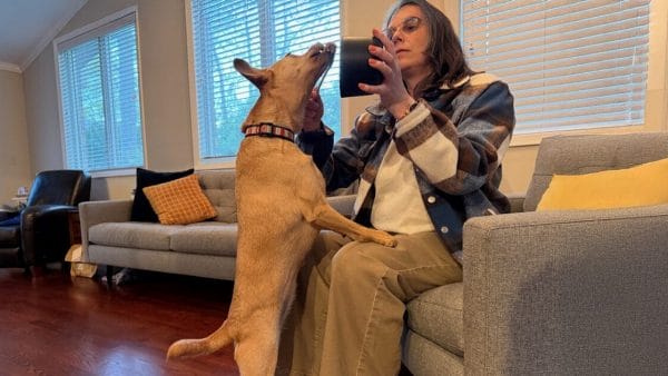 megaesophagus-in-dogs-signs-causes-treatment-long-term-care